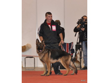 CACIB 25.11.12 044.jpg