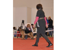 CACIB 25.11.12 045.jpg
