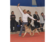 CACIB 25.11.12 056.jpg