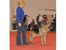 CACIB 25.11.12 090.jpg