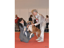 CACIB 25.11.12 093.jpg