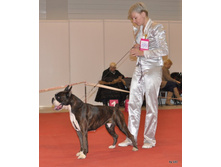 CACIB 25.11.12 118.jpg