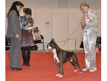 CACIB 25.11.12 119.jpg