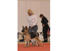 CACIB 25.11.12 121.jpg