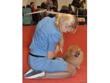 CACIB 25.11.12 132.jpg