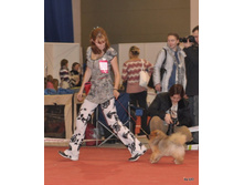 CACIB 25.11.12 133.jpg