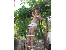 ��ң������ ��������