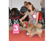 CACIB 25.11.12 142.jpg