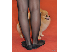 CACIB 25.11.12 169.jpg
