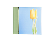 �0032688, � ���������, 188 ���