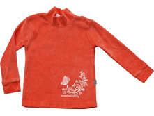 ��������� �� ������� ����� (�����) 1125/1 ms