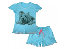 ������ ������ 0027 ms