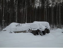 DSCN0957s.JPG