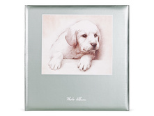 ���. �0032095, ��� �����, 348, 5 ���