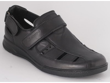 BFW_135-1_������_1327 ���