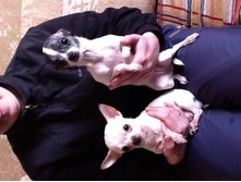 ���� � ������