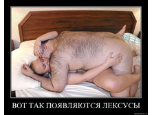 ���� ����, ����� �����: