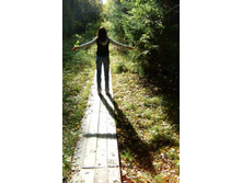 ��������� ������ �� �������