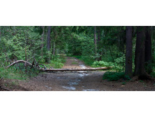 _MG_2263 Panorama.jpg