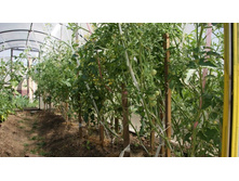 ��������� � ��������.jpg