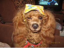 ���� � ����� 296.jpg