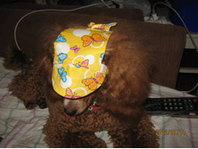 ���� � ����� 299.jpg