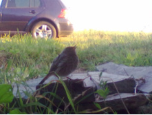 �� ������� �� ������