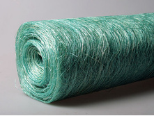 ������ ���� ���.jpg