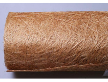 ������ ����.jpg