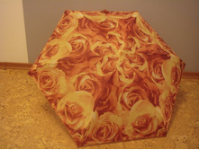 L501 (9S1788 Rose Yellow).jpg