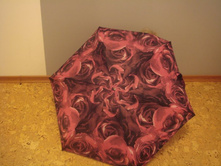 L501 (81716RoseStCase).jpg