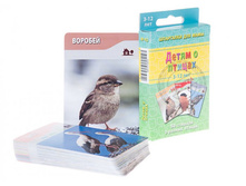 NA6002. ��������� ��� ���� "����� � ������"