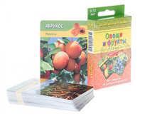 NA6003. ��������� ��� ���� "����� � ������"