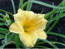 �������� ���������.JPG