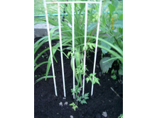 ������ �� ����� .JPG