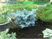 ��� ������ �������