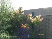 ������� ������