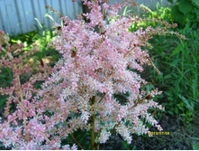 �������� ���..JPG