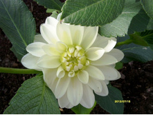 �������� .JPG