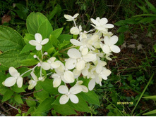 �������. ���.JPG