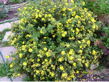 �������� ������.JPG