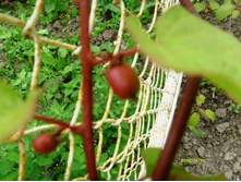 ������ ����� ���������.JPG