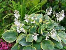 ����� ������.JPG