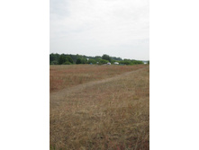 �������� - ����� ���� ������, ����� ����� ��������