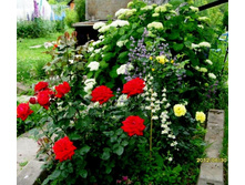 ���� ��������� � ���������.JPG