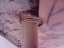IMG1139A.jpg