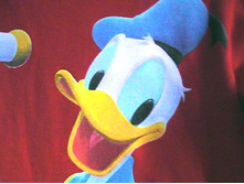 ��������� Kohis (�������)