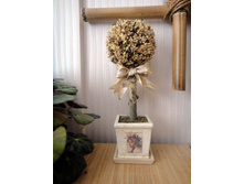 ���������� ������ �����