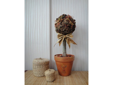 �������������� ������ 