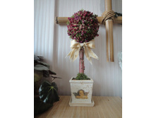 ������� ��������